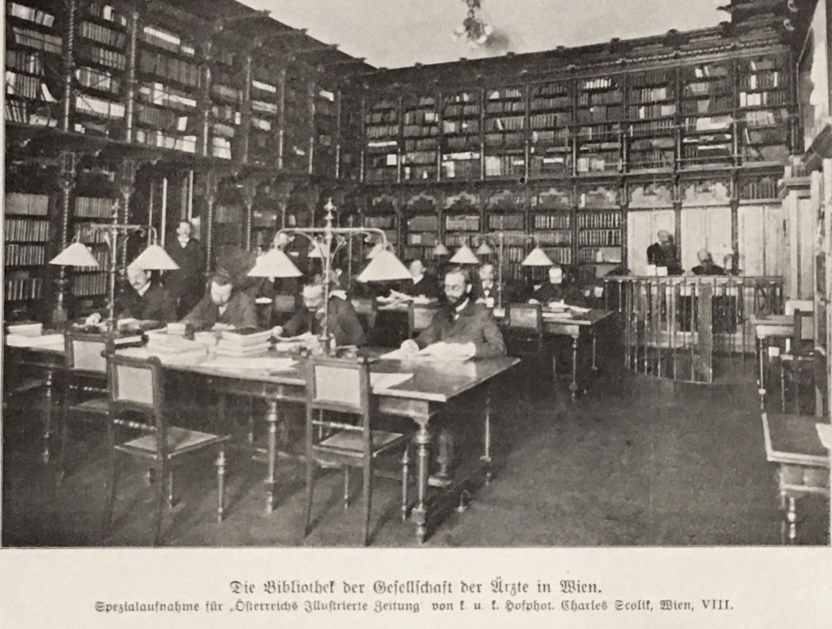 Große Bibliothek im Billrothhaus, 1905-06