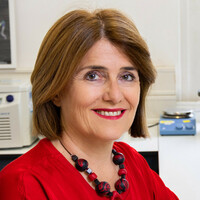 Univ.-Prof. Dr. Maria Sibilia